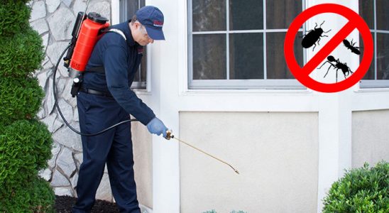 İçmeler Gümüşkurt İlaçlama böcek ilaçlama ve haşere kontrolü — ilaclama-tr.com